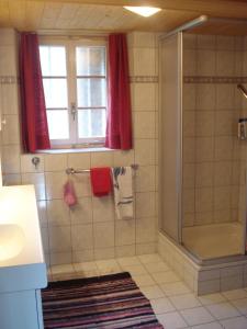 ミュンスターにあるHaus alte Schmiedeのバスルーム(シャワー、シンク付)