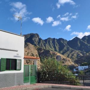 a building with a green door and mountains in the background at Apartamentos Correhuela in Hermigua