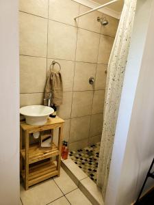 a bathroom with a sink and a shower at The Lion's Den in George