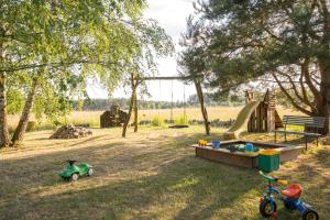 a playground with a slide and two toys in the grass at Ferienwohnung Schmidt in Altglobsow in Großwoltersdorf