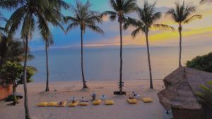 a group of surfboards on a beach with palm trees at Sea Love Beach Bar & Bungalows in Ban Tai