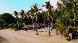 a beach with palm trees and a resort at Sea Love Beach Bar & Bungalows in Ban Tai