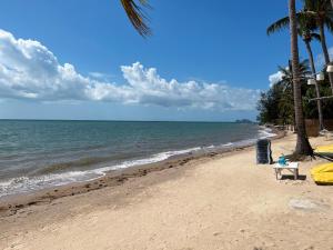 a sandy beach with palm trees and the ocean at Sea Love Beach Bar & Bungalows in Ban Tai