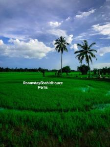 a green field with two palm trees in the background at ROOMSTAY SHAHID HOU'ZE in Kangar +5 photos
