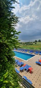 a swimming pool with blue and red lounge chairs at Pensiunea Lebada in Tulcea
