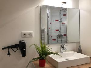 a bathroom with a sink and a potted plant at La Villa des Remparts in Lisieux +28 photos