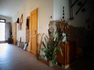 Fotografie z fotogalerie ubytování Apartmány Tones v Hanušovicích