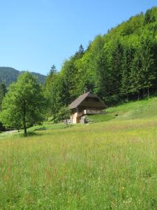 eine kleine Hütte auf einem Grasfeld mit einem Hügel in der Unterkunft Chalet Brložnica pod Veliko planino in Luče
