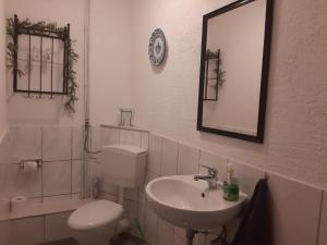 y baño con aseo, lavabo y espejo. en Ferienwohnungen Lerchl, en Dachau
