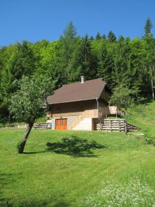 una casa en un campo con un árbol delante en Chalet Brložnica pod Veliko planino, en Luče