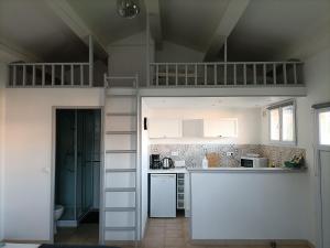 cocina con cama elevada y cocina con encimera en L'APARTE - Studio Les AMANDIERS, en Pignans