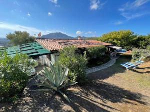 a house with a roof and a yard with plants at Villa Sara in Olbia