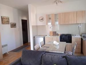 阿然德洛维克Apartment Srebrni oblak的带沙发的客厅和厨房