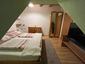 ein Schlafzimmer mit einem Bett und einem TV in einem Zimmer in der Unterkunft Ferienwohnungen Fam. Pabst in Maria Lankowitz
