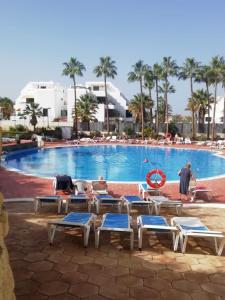 a man standing in front of a swimming pool with lounge chairs at El Dorado Las Americas WiFi Pool in Arona