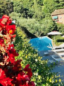 a garden with red flowers next to a swimming pool at Agriturismo Le Pale 2 in Bogliasco