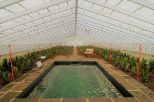 a greenhouse with a pool of water in it at Herdade do Ananás in Ponta Delgada