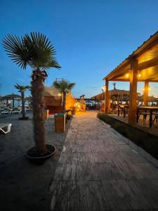 a pathway with palm trees and tables and a building at Belvedere Apartments in Ulcinj
