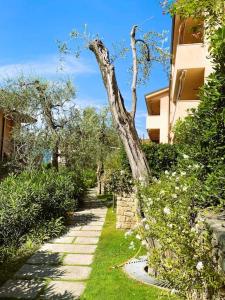 a tree in the middle of a walk way at Peler Beth's House in Brenzone sul Garda