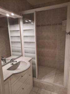 La salle de bains est pourvue d'un lavabo et d'une douche. dans l'établissement Cap d'Agde Naturist Héliopolis O 33, au Cap d'Agde