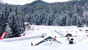 a snow covered ski slope with trees in the background at FOLYERE 17 La Tania in La Tania