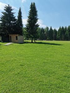 a large field with a tree and a shed at Pension Harzbaude Susanne - Garni in Rübeland +1 photo