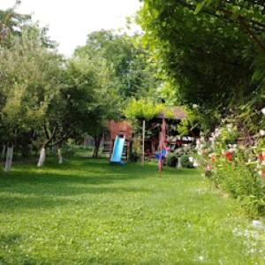 ラシュノフにあるCasa Terzeaのギャラリーの写真