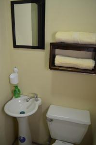 a bathroom with a toilet and a sink and a mirror at #3 Private room Close to Airport in Alajuela