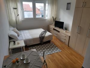 TV a/nebo společenská místnost v ubytování Charming studio with river view