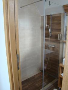 y baño con ducha y puerta de cristal. en Vila Secret Nest, en Zlatibor
