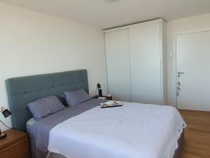 1 dormitorio con 1 cama grande y cabecero azul en Modern apartment first line beach Montevideo UY, en Montevideo