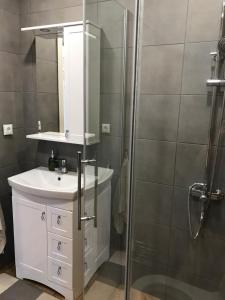 Kúpeľňa v ubytovaní Volzhskaya Usadba