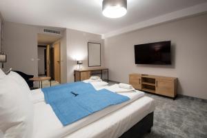 TV a/nebo společenská místnost v ubytování Hotel Jarzębata