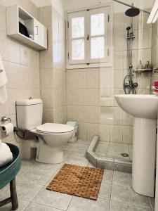 a bathroom with a toilet and a sink at Dapia Holiday Home in Spetses