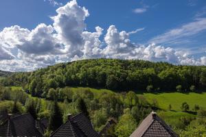 una vista aerea di una collina con alberi e case di Odenwald Lounge im Naturpark Bergstraße-Odenwald a Reichelsheim Altre 37 foto