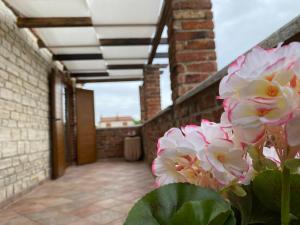 Fotografie z fotogalerie ubytování Paradise Villa Cassonni Istria 4 Stars v destinaci Butkovići