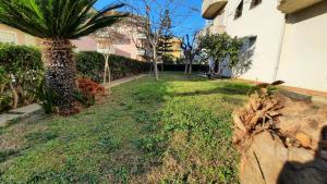 un patio con una palmera al lado de un edificio en Casa di Checco, en San Benedetto del Tronto