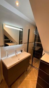 a bathroom with a sink and a shower at Mille et une nuit, appartement classé 3 étoiles en RDC avec exterieur et parking in Dole