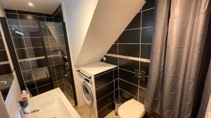 a small bathroom with a toilet and a shower at Mille et une nuit, appartement classé 3 étoiles en RDC avec exterieur et parking in Dole +16 photos