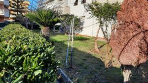 Un jardín con árboles y plantas en un patio. en Casa di Checco, en San Benedetto del Tronto