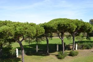 גינה חיצונית ב-Casa de lujo en la playa frente al campo de golf