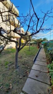 un árbol al lado de una pasarela en un parque en Casa di Checco, en San Benedetto del Tronto