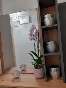 Fotografia z galérie ubytovania Cirkáló Apartman v Siófoku