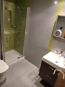 a bathroom with a shower and a sink at Apartamento Sanxenxo Carles Deluxe Ocean View in Sanxenxo