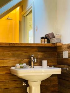 een badkamer met een wastafel en een spiegel bij Loft Naturalpina Dolomiti Farm in Belluno