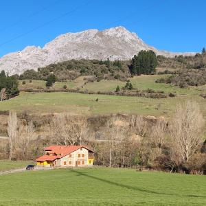 a house in a field with a mountain in the background at Casa Santa Leocadia in Tama