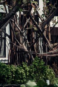Fotografie z fotogalerie ubytování Oceano By Trouvaille v destinaci Varkala