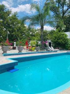 una piscina azul con una palmera en el fondo en La Casita Inn Bustamante, en Bustamante