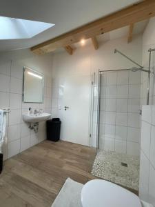 een badkamer met een douche, een toilet en een wastafel bij Penthouse Apartment in Weener
