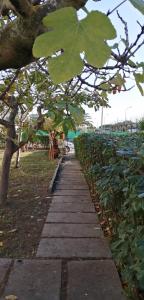 una passerella in un parco con alberi e piante di Casa di Checco a San Benedetto del Tronto